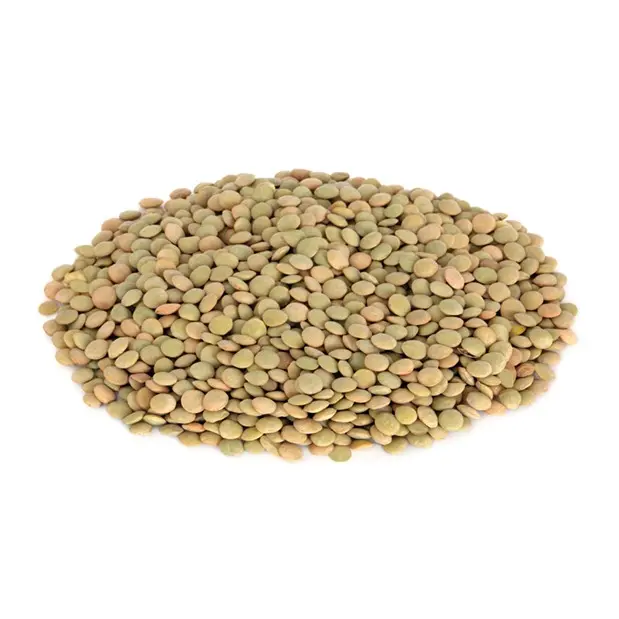 Lentilles-Vertes-bio-ADJOVAN-vrac